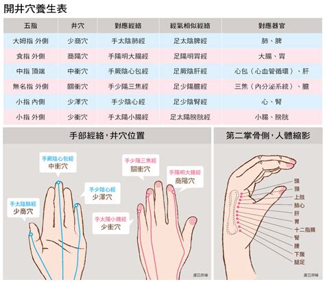 世界名穴|二十大名穴图解